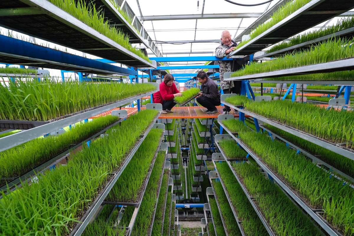 中华人民共和国农业技术推广法